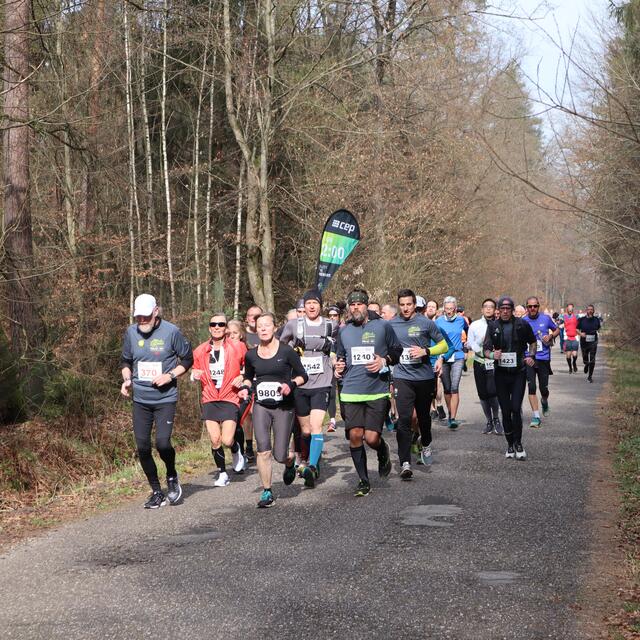 47. Internationaler Bienwald-Marathon | Foto: TSV Kandel